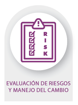 8. ICONO EVALUACIÓN DE RIESGOS Y MANEJO DEL CAMBIO